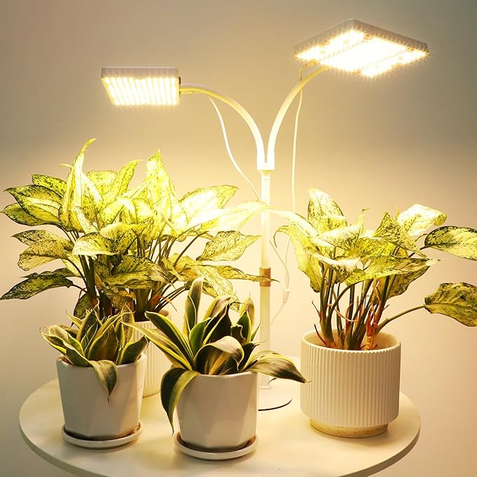 2Head Tabletop Grow Light, Bright and Big Coverage Grow Lights for Seed Starting, Bonsai, Succulent, 4/8/12/16/20H Timer, 50 Watt Power Draw, NO Need Adapter, 16"-24" Height Adjustable