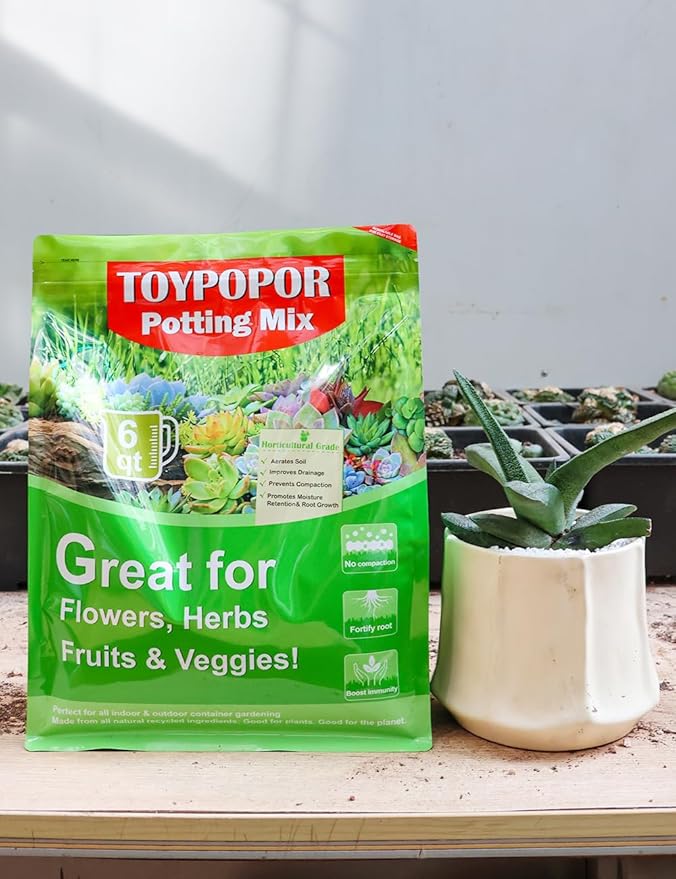 TOYPOPOR Succulent Soil, Cactus Potting Mix 2 Pounds/1 Quart, High Drainage, Pre-Mixed Ready to Use for All Succulent Varieties, Indoor Plants, Bonsai, Terrarium, Houseplant, 70% Particles 30% Soil