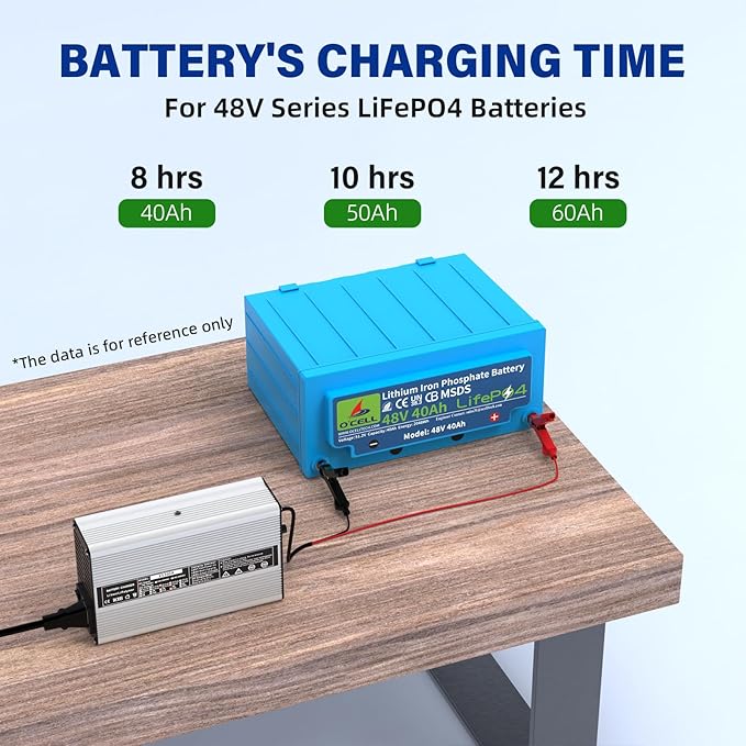 58.4V 5A, AC-DC Battery Charger, Dedicated Best Solution for 48V Lithium Iron Phosphate, LiFePO4 Battery Recharging, Support Charging Solar Off-Grid, Golf Cart (58.4V 5A Charger-Silvery)