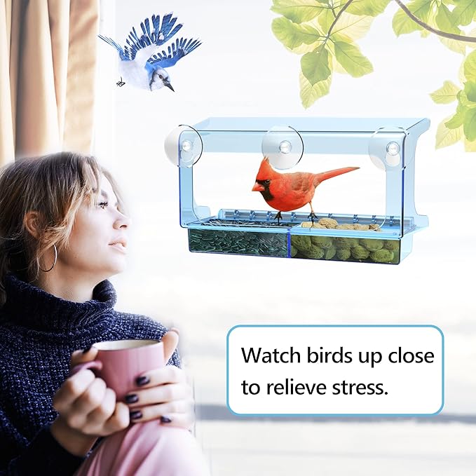 LUJII Blue Window Bird Feeder with 5 Super Strong Suction Cups, All One Piece Construction, Removable Seed Tray, Accommodates Large Birds Like Cardinals or Blue Jay for Outside Wild Bird Feeding