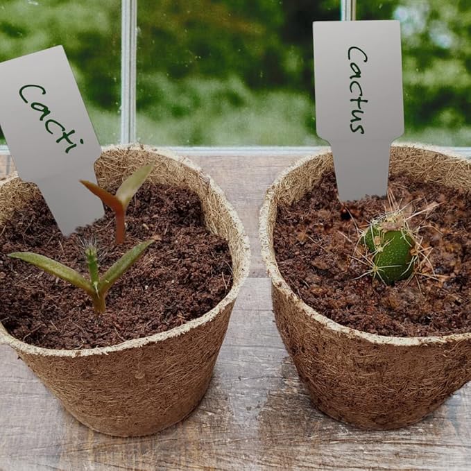 Cactus & Succulents Seed Starter Kit. Everything Needed to Grow an Amazing Assortment of Cactus & Succulents. Perfect for Plant Lovers and Gardener mom. Unusual Housewarming Gift