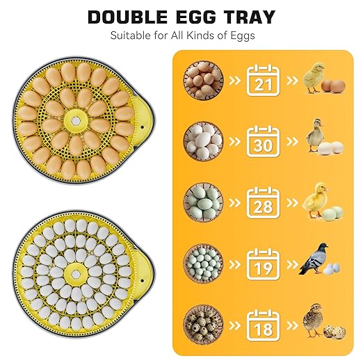 IBKINXX 26 Egg Incubator for Hatching Eggs with Smart Voice Guidance, 360° View with Automatic Temperature & Humidity Control, Auto Egg Turning & Built-in Egg Candler for Chicken, Duck, Goose & Quail