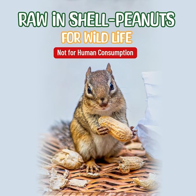 Sneaky Mango - Raw Peanuts in Shell - 10 Pounds – All-Natural Food for Squirrels, Deer, Birds, and Other Wildlife Animals – Grown in the USA for Healthy Nutrition
