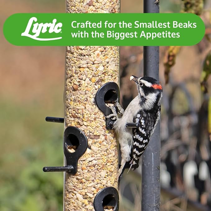 Lyric Fine Tunes Wild Bird Seed - No Waste Bird Food Mix - Attracts Colorful Wild Birds - Perfect for Your Backyard Feeders - 10 lb. (pack of 2 - 5 lb bags)