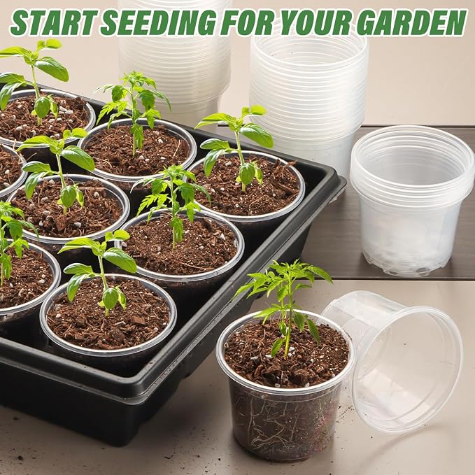 RooTrimmer Clear Seedling pots 100-Pack 3.2 Inches Round for Seeds Starter Pots, Seeds Germination Transparent Clean Pots with Drainage Holes(100 Pcs, 3.14Inch)