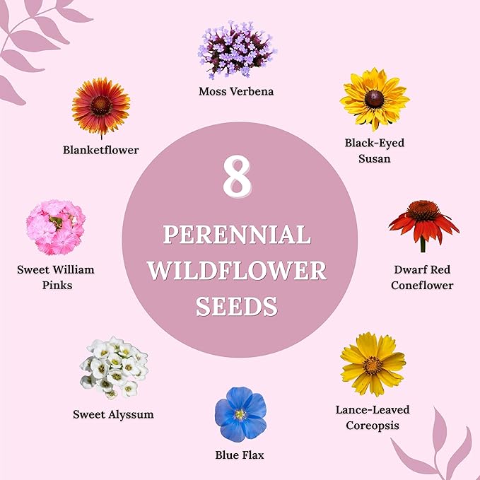 Wildflower Seeds for Bees & Butterflies – 22 Variety Pollinator Mix – 160,000+ Seeds – 4 oz Annual & Perennial Blend