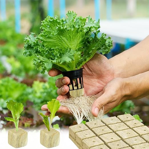 Halatool 1.2 Inch Rockwool Cubes Garden Hydroponic Pods Starter Plugs for Hydroponics Soilless Cultivation Seedling Starting Cuttings Clone & Plants Propagation (2 Sheets, 72 Plugs in Total)