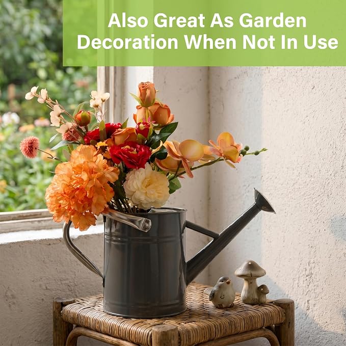 Watering Can for Outdoor&Indoor Plants,1 Gallon Metal Watering Can with with Removable Spout,Galvanized Steel Garden Flower Water Can Plant Watering Pot with 2 Handles,Grey