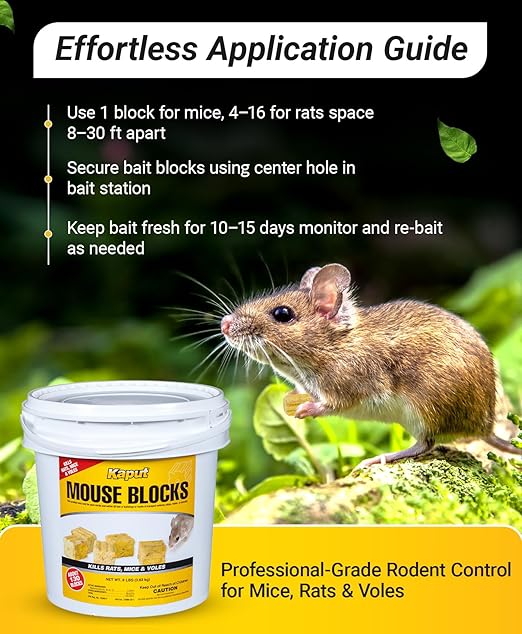 Kaput Mouse Blocks, Rodent Bait for Mice & Rats, Warfarin Vole Killer for Indoor/Perimeter Use, Kills Rodents with Consistent Feeding - Ideal for Homes, Farms & Transport Areas, 8 lbs
