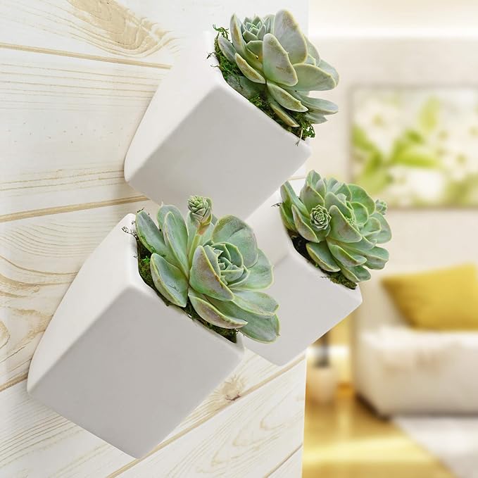 Arcadia Garden Products Small Cube Wall Planter 3-Pack-Matte White