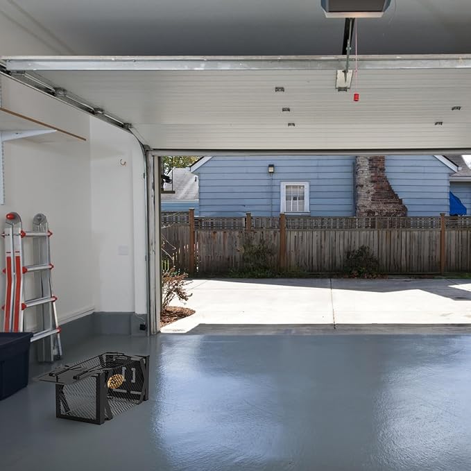 TeqHome 2 Pack Humane Rat Trap, Small Live Chipmunk Trap That Work for Indoor & Outdoor, Easy to Catch & Release, Live Animal Traps Mouse Cage Traps Reusable for Small Rodents Mice Voles Hamster,Black