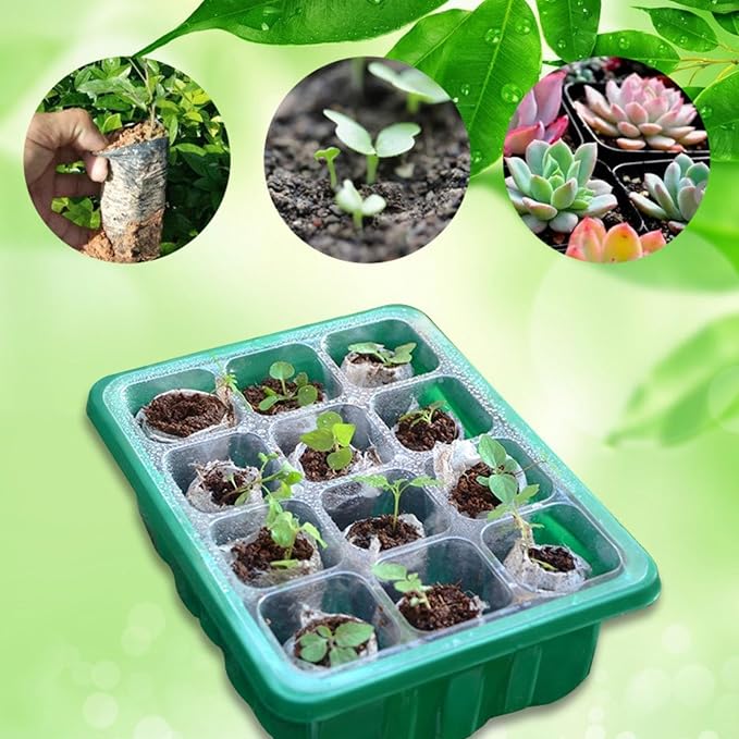 Seed Starter Trays, 72-Cell Seed Tray with LED Grow Lights, Adjustable Humidity Drainage, Germination with Transparent Domes for Succulent Herbs Plant Seedlings, Indoor Seedling Greenhouse, 6 Pack