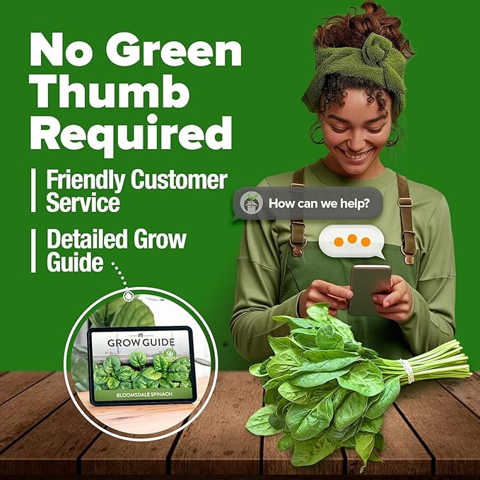 HOME GROWN Bloomsdale Spinach Seeds 353+ Non GMO Heirloom Seeds for Planting, High Germination, Cold Tolerant, Dark Green Crinkled Leaves, Fast Growing, Hydroponic & Garden (Spinacia oleracea)