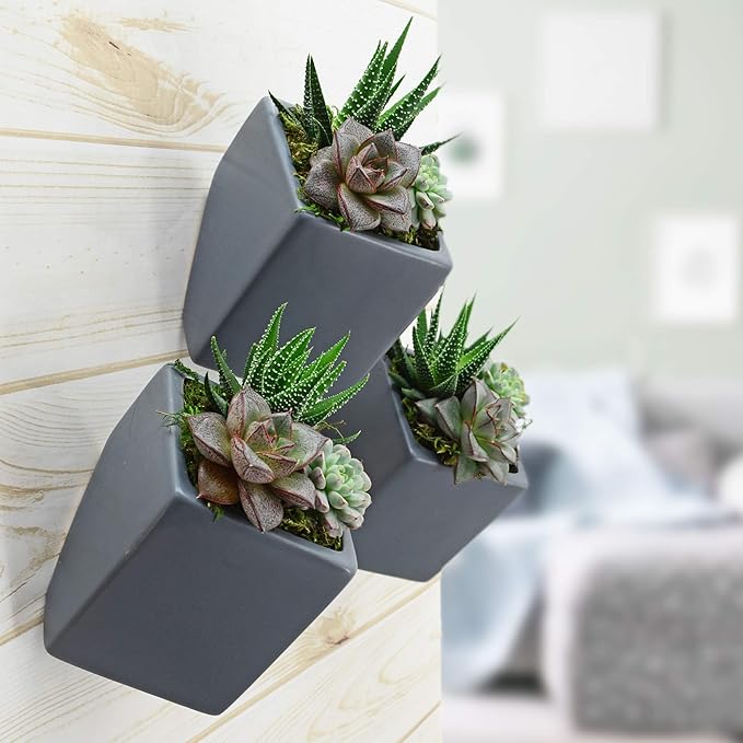 Arcadia Garden Products WP18 Small Cube Wall Planter 3-Pack Gray, Dark Grey