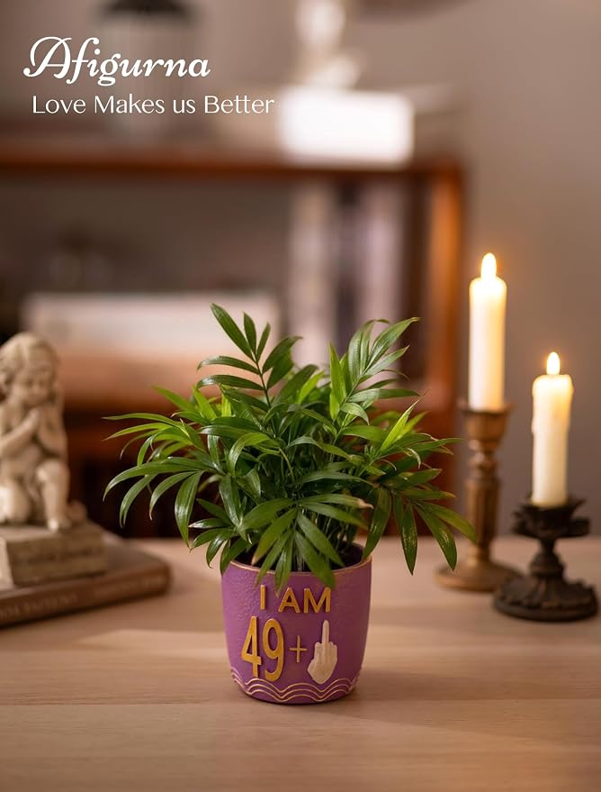 50th Birthday Gifts for Women: Funny 49 + Middle Finger Hand-Painted Planter Present for Turning Fifty - Hilarious 50th Birthday Gifts for Friend Mom - Happy 50th Birthday Decorations