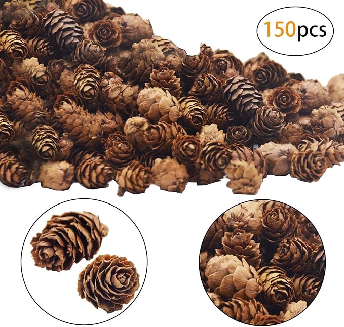 Deloky 150 Pcs Christmas Natural Mini Pine Cones- 2CM Thanksgiving Small Pinecones Ornaments Vase Fillers for DIY Crafts, Home Decorations, Fall and Christmas, Wedding Decor