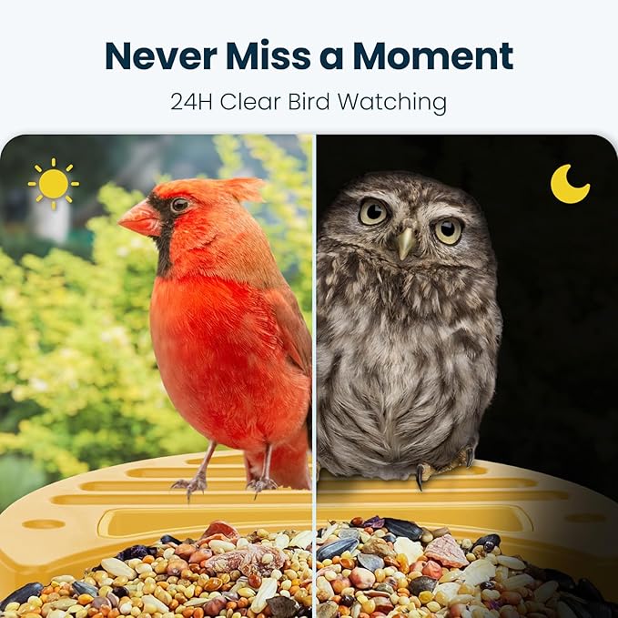 Smart Bird Feeder with Camera, 2.5K UHD Bird Camera AI Identifies 11,000+ Bird's Species, Real-time Bird's Videos & Pictures, Solar Powered Wireless Outdoor, Ideal Gift for Mom, Yellow