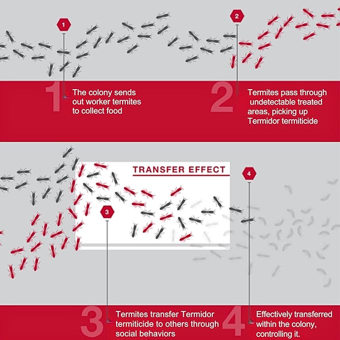 BASF Termidor Foam 20 oz - Termiticide Insecticide for Termites, Ants & Wood Destroying Pests & Insects