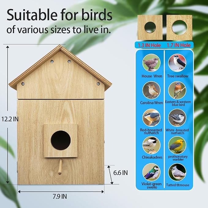 Bird House with WiFi Camera Solar Powered for Wireless Outdoors, HD View Nesting & Hatching, Box House for Bluebird Swallow Wren Chickadee, PIR Detection, SD Card & Cloud Storage, IR Night Vision IP65