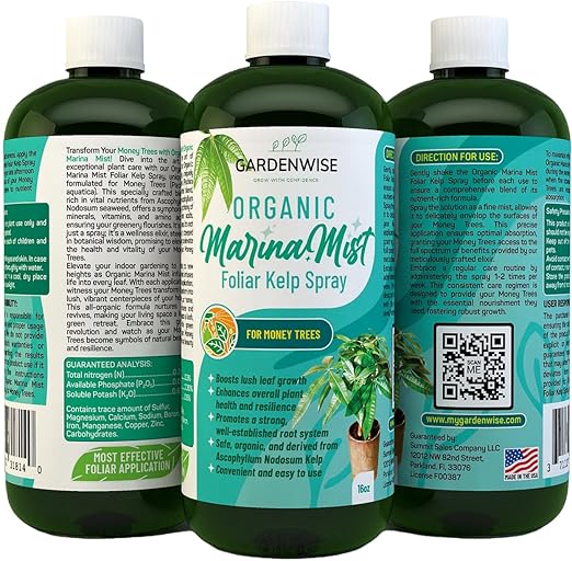 GARDENWISE Organic Marina Mist Foliar Spray for Money Tree | Liquid Fertilizer | Micro Nutrients for Vital Health | Liquid Plant Food (16 OZ)