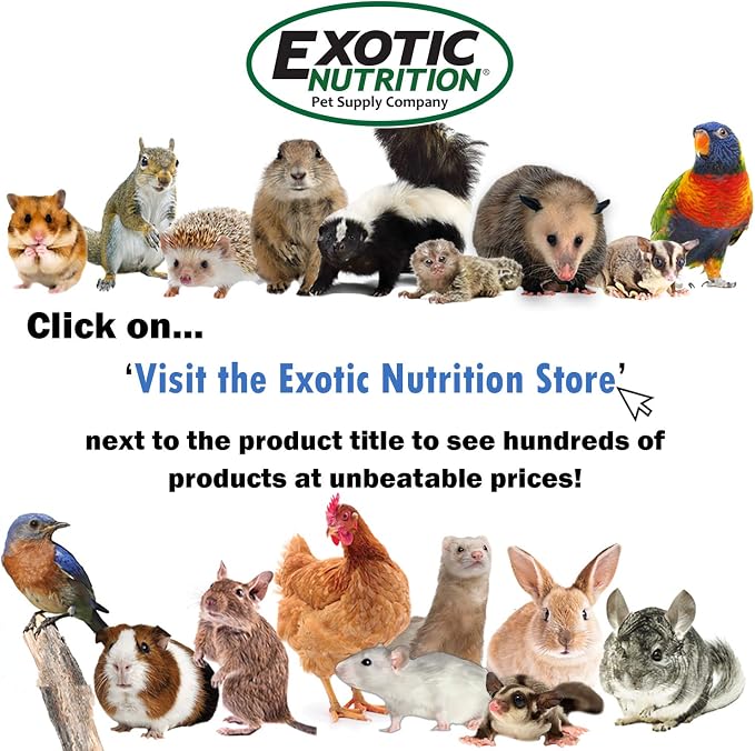 Sturdy Nest Box (S) - Cage Attachment, Hinged Lid, Perching Ledge - for Sugar Glider, Squirrel, Rat, Finch, Parakeet, Lovebird, Parrotlet, Lovebird, Canary, Cockatiel, Other Birds & Small Pets