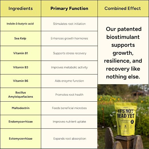 Pots & Planters - It’s Not Dead Yet mitogrow Patented Powder Formula, Makes 50 Gallons