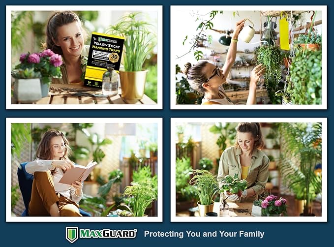 MaxGuard (20 Pack) Yellow Sticky Hanging Traps - Catch and Kill Fungus Gnats, Whiteflies, Mosquitos, Aphids, Leaf Miners, Flying Insect Catcher Glue Trappers for Indoor or Outdoor