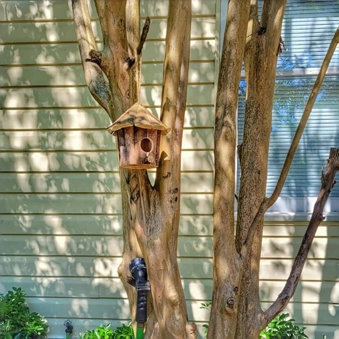 Wooden Birdhouses for Outside, Hanging Birdhouse, Cardinal Bird House Nesting Box, Natural Wood Bluebird Houses for Outdoors Finch Bluebird Cardinals, Garden Decoration