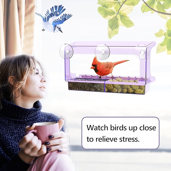 LUJII Purple Window Bird Feeder with 5 Super Strong Suction Cups, All One Piece Construction, Removable Seed Tray, Accommodates Large Birds Like Cardinals or Blue Jay for Outside Wild Bird Feeding