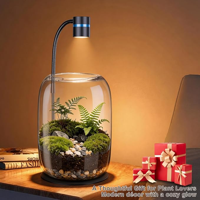 Glass Plant Terrarium with LED Grow Light, Grow Light for Terrarium, Small Desktop Indoor Planter for Venus Fly Trap, Moss & Succulents, Borosilicate Decor Jar for Plant Lovers