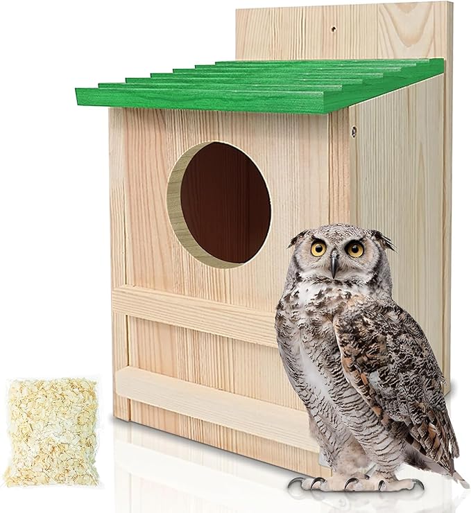 Screech Owl House, Owl Bird Box Large Handmade Wooden Circular Opening Screech Box for Outside with Mounting Screws and A Bag of Wood Shavings, Easy Assembly Required (Green, 9" x 14.5")