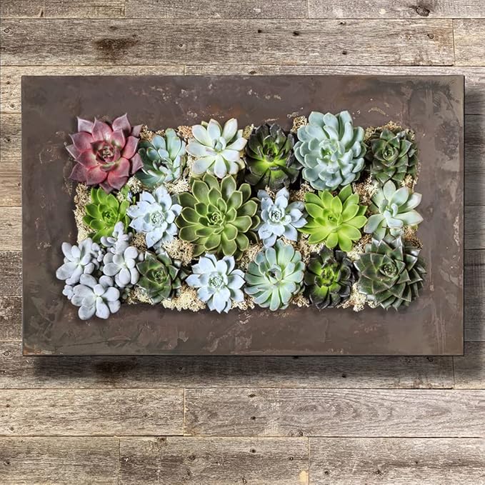 Modern Home Living Wall Galvanized Steel/Zinc Succulent Planter, Wall Mounted Garden Pocket Planter (Horizontal 18 Pocket, Rust Zinc)