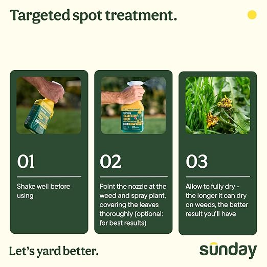 Sunday Dandelion Doom Selective Weed Control - Derived from Iron - Selective Broadleaf Weed Killer Spray - Kills Dandelions, Algae and Moss - 32oz - 2 Pack