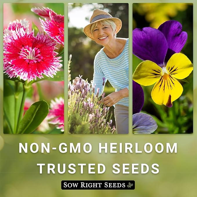 Sow Right Seeds - Large Flower Seed Collection - Coleus, Carnation, Daisy, Calendula, Alyssum, Echinacea, Lavender, Snapdragon & Zinnia - Non GMO Heirloom Seeds for Planting - 10 Packets