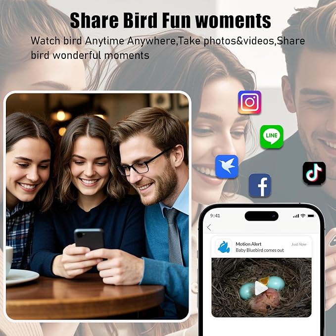 Bird House with Camera Solar Powered, 1080HD Live Video & Night Vision for 24/7 Nesting Recording, Auto Detect & Notify, Waterproof Bamboo,smart Bird House Camera for Backyard Birdwatching