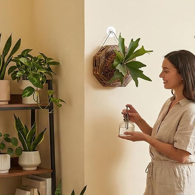 Staghorn Fern Mounting Kit - Wood Wall Planter for Orchids,Herbs & Indoor Plants | Hanging Plant Holder, Basket & Stand for Wall Decor(10.43inch)