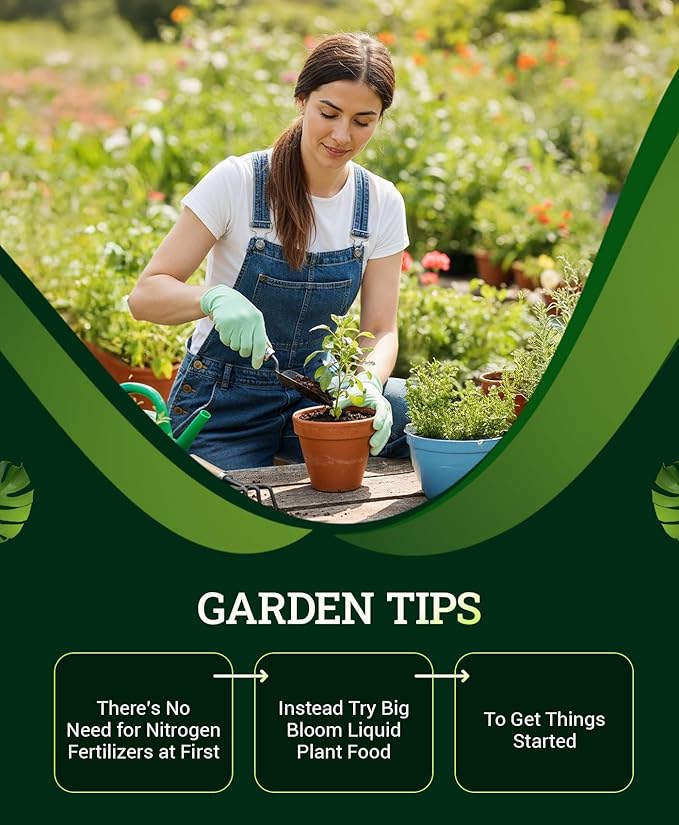 FoxFarm Ocean Forest Potting Soil for Container Gardens - Light, Aerated Texture with Fish Meal, Crab Meal, Earthworm Castings - Houseplant Potting Mix for Seedlings & Plant Starts - 4 x 12 Quart