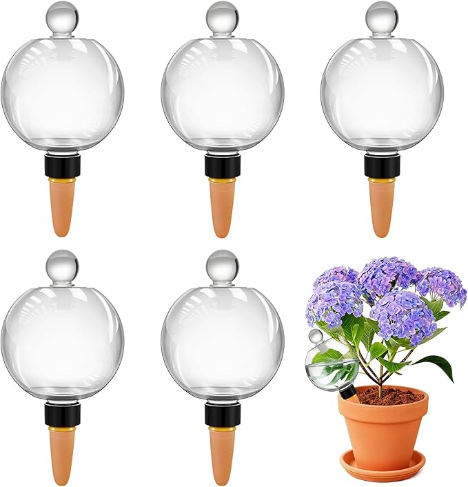 DI QIU REN 19oz Extra Large Self Watering Globes, Automatic Plant Waterer with Glass Stopper - Slow Release Watering Bulbs & Planter Insert, Top-Fill Water Spikes Stakes for Indoor Plants (4, Clear)