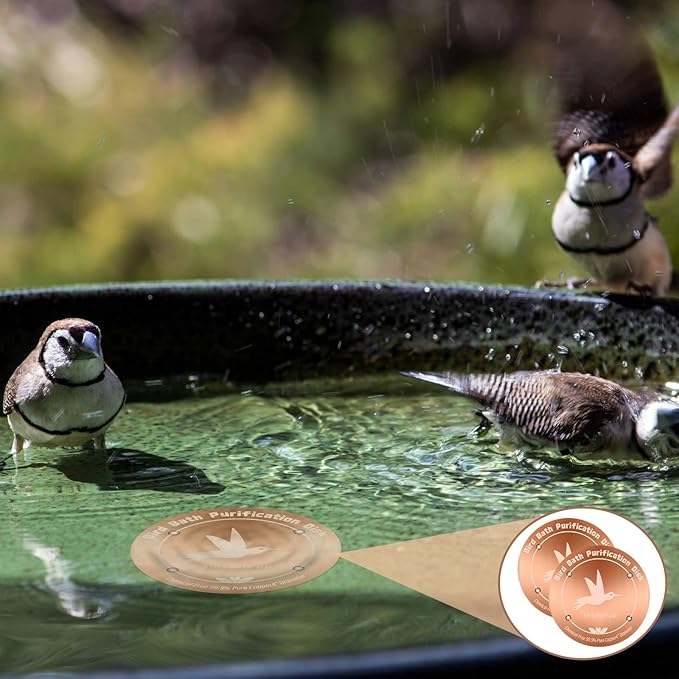 4 Inches Pure Copper Bird Bath Purification Disk,0.6mm thick,Reinforced Copper Purification Cleaner with Four-Point Support,All-Season Safe Clean Water Solution,Universal Fit for Outdoor Birdbath&Bowl