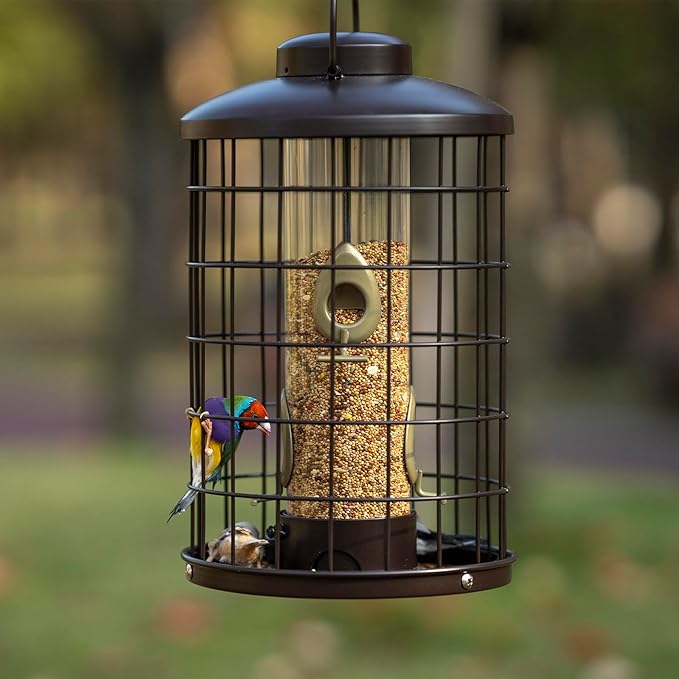 Mosloly Caged Bird Feeders Metal - 3 Lbs - Squirrel-Proof Wild Bird Feeders, Clear Tube Feeders Hanging Outside Starling Proof, Detachable Cleaning, 4 Feed Ports(Copper)