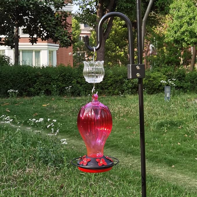 Glass Ant Moat for Hummingbird Feeder - 2PC x 3 OZ Clear Tulip Insect Guard with Large Capacity