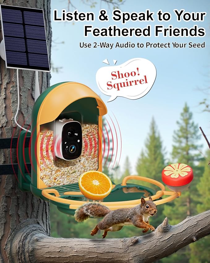 Bird Feeder with Camera, 2K HD Camera Birds Feeder with Bath Wireless Outdoor, Solar Powered Bird Watching with APP Control, Night Vision, Motion Detection Alerts, Birdfeeder for Backyard, Dark Green