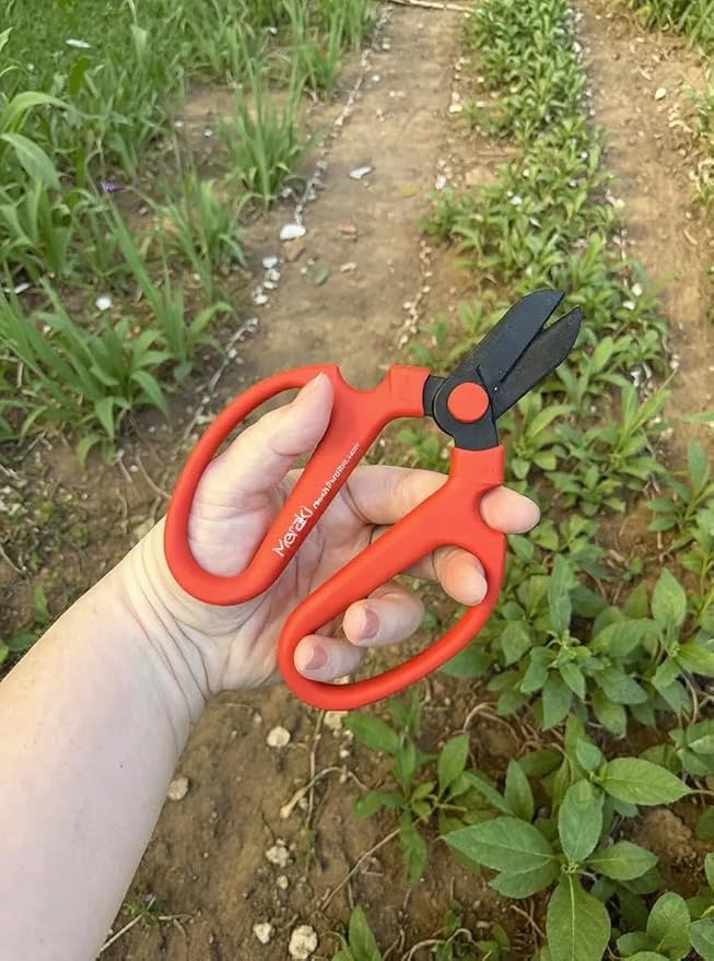 Garden Pruning Shears Scissors With Carbon Steel Blades 6.7 In, Amaryllis - Red