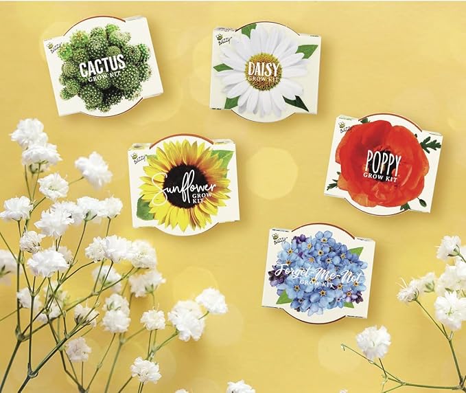 BUZZY Seeds Mini Terracotta Pots 12-Pack with Plant Seeds, Poppy, Sunflower, Daisy, Cactus and Forget Me Not, All-in-One Seed Starter Kit, Indoor Outdoor Gardening Gift, Wedding Favors, Mother's Day