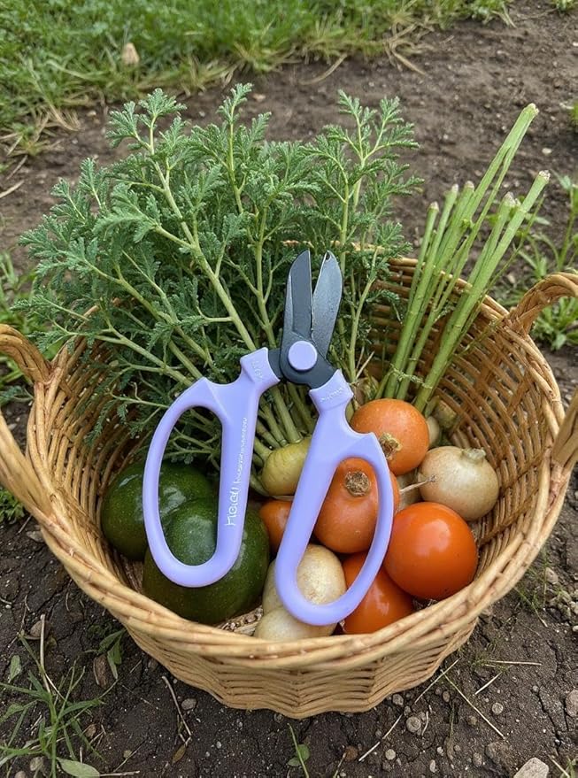 Garden Pruning Shears Scissors Carbon Steel Blades 6.7 In, Snapdragon - Lavender