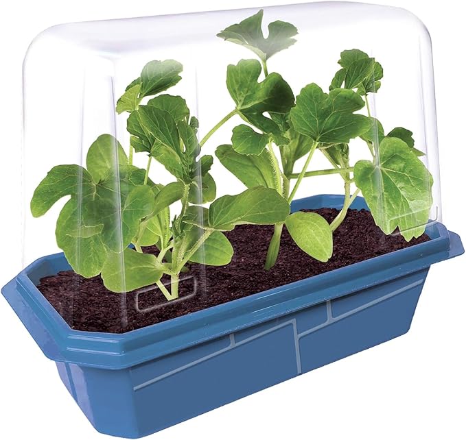 Unique Gardener Grow Your Own Watermelons, Premium Plant Seeds for Indoor Planting & Outdoor Gardening, Mini Live Sweet & Delicious Watermelon Plants Weigh 6-10 lbs, Just Add Water