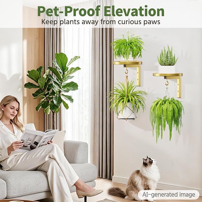LASZOLA Plant Hangers Shelves Wall Mounted Indoor, Metal Window Plant Holders, 2Pcs Modern Floating Flower Display Stand with 2 Hooks for Outdoor Kitchen Bathroom Decor, Gold