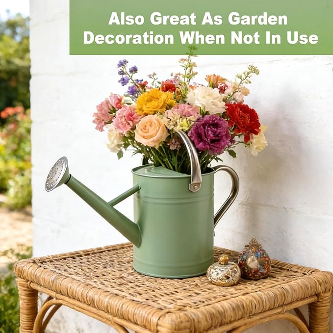 Watering Can for Outdoor&Indoor Plants,1 Gallon Metal Watering Can with with Removable Spout,Galvanized Steel Garden Flower Water Can Plant Watering Pot with 2 Stainless Steel Handles,Cream Green