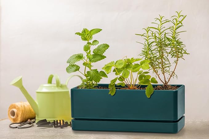 D'vine Dev 12 Inch Window Box Planter, Rectangle Plastic Herb Planter with Drainage Holes and Saucer, Indoor Succulent Cactus Vegetable Pot for Windowsill, Garden Balcony, Green, Set of 2, 76-X-C-2