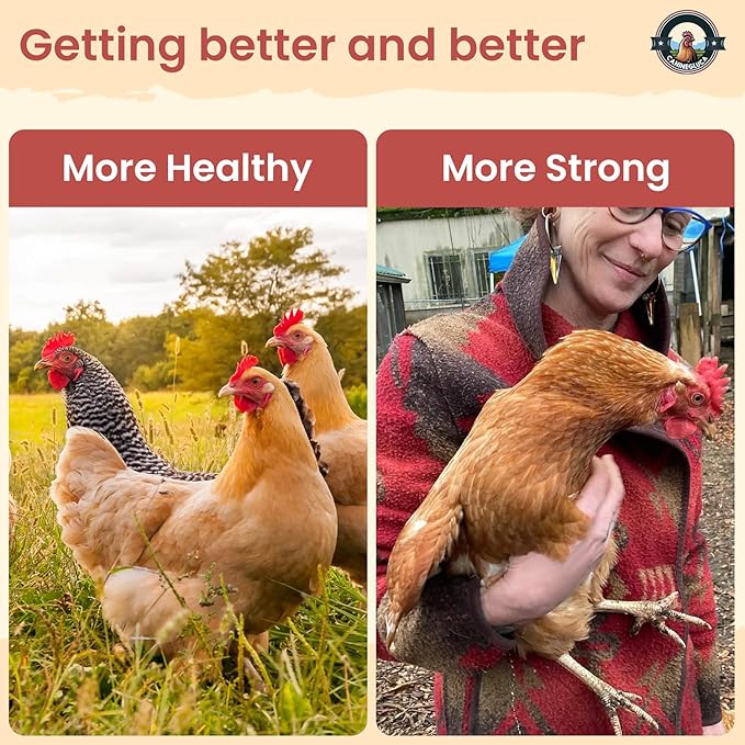 Natural Chicken Dewormer Powder, Chili Mix Formula, 1LB XL Pouch, Poultry Wormer for Laying Hens, Egg Safe, Gut Health Support, US-Made for Backyard Flocks
